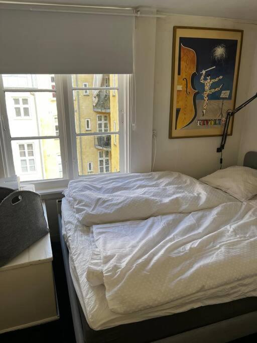 Apartment 100 Kvadratmeter. Yderst Attraktivt Beliggenhed Copenhagen